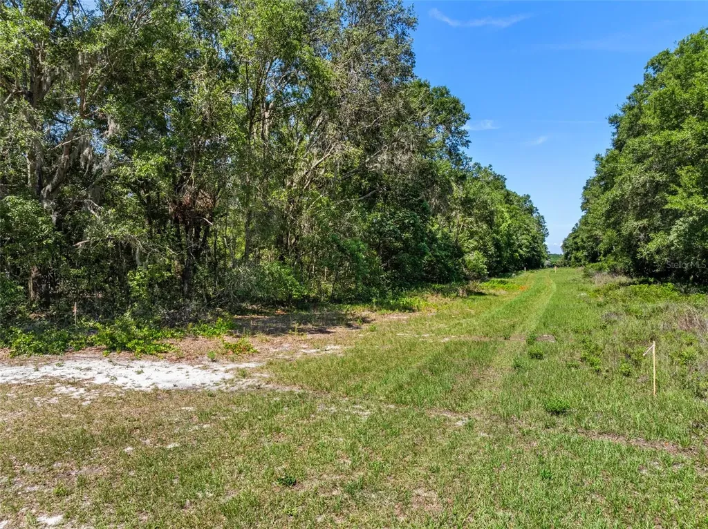 Lot 1 Hojin Street Sorrento FL 32776
