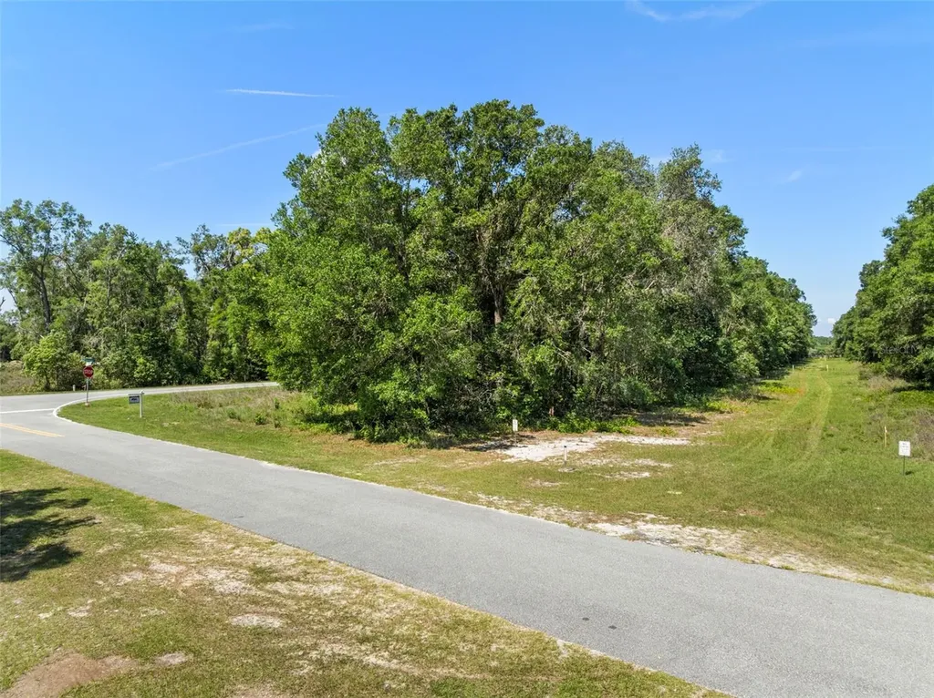 Lot 1 Hojin Street Sorrento FL 32776
