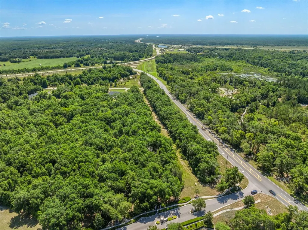 Lot 1 Hojin Street Sorrento FL 32776