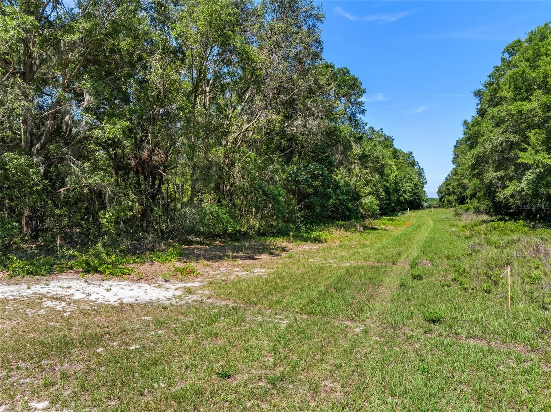Lot 1 Hojin Street Sorrento FL 32776