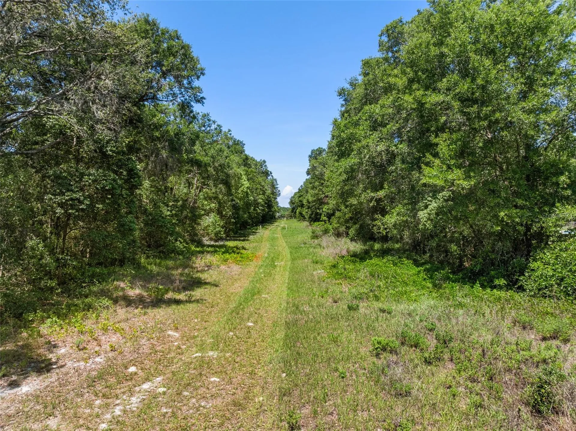 Lot 1 Hojin Street Sorrento FL 32776
