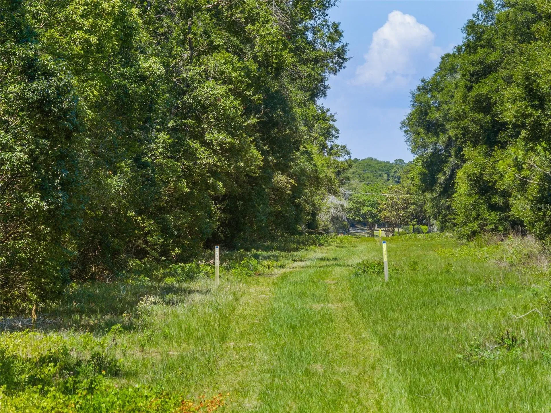 Lot 1 Hojin Street Sorrento FL 32776