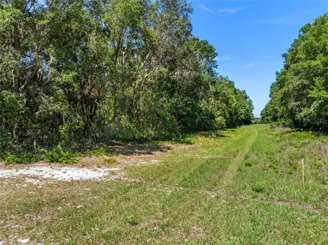 Lot 1 Hojin Street Sorrento FL 32776