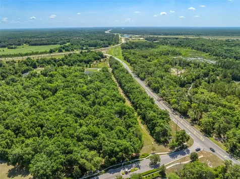 Lot 1 Hojin Street Sorrento FL 32776