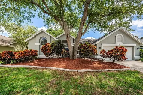 3058 Spring Oak Avenue Palm Harbor FL 34684