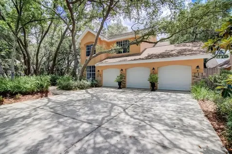 13148 Greengage Lane Tampa FL 33612