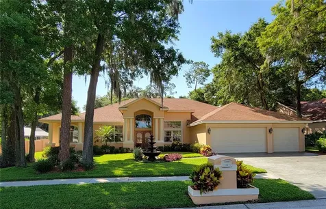 2111 Isle Of Palms Drive Valrico FL 33596