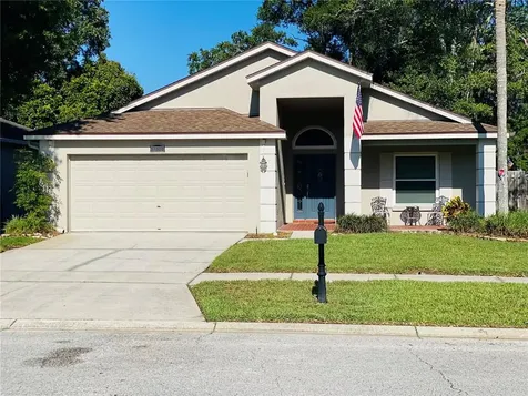 12924 Lake Ventana Drive Tampa FL 33625