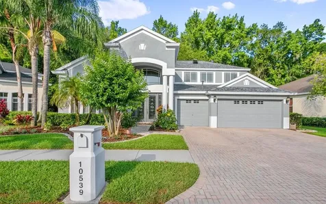 10539 Canary Isle Drive Tampa FL 33647