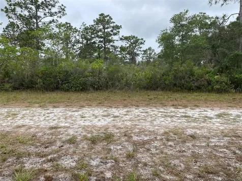 0 Bougainvillea Drive Indian Lake Estates FL 33855