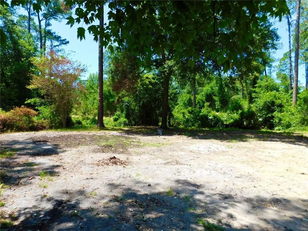 24445 Dora Street Astor FL 32102
