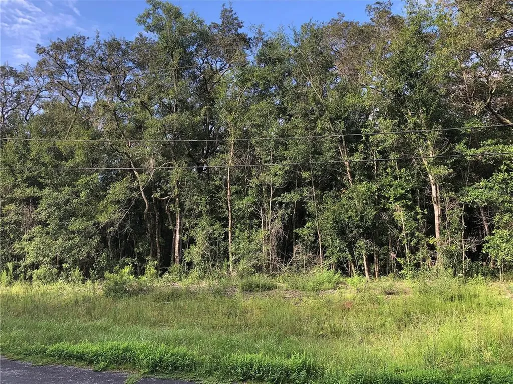 9018 N Mendoza Way Citrus Springs FL 34434