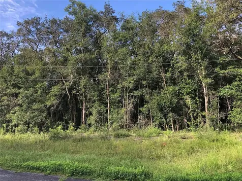 9018 N Mendoza Way Citrus Springs FL 34434