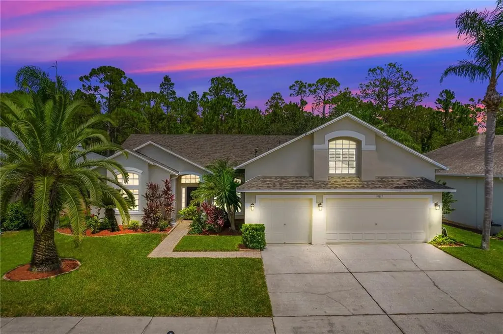 14617 Coral Berry Drive Tampa FL 33626