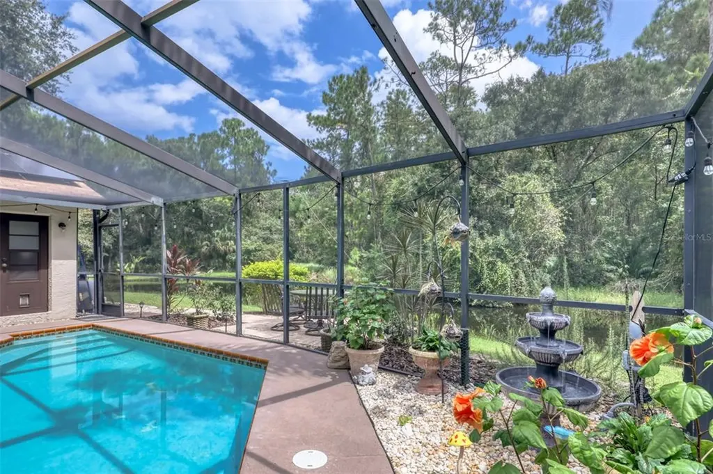 5905 Windermere Drive Palm Harbor FL 34685