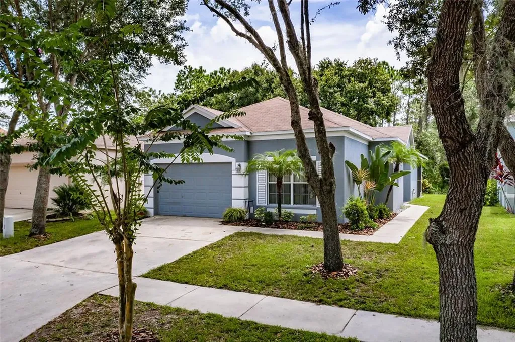 6110 Kiteridge Drive Lithia FL 33547