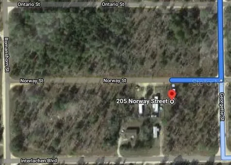 205 Norway Street Interlachen FL 32148