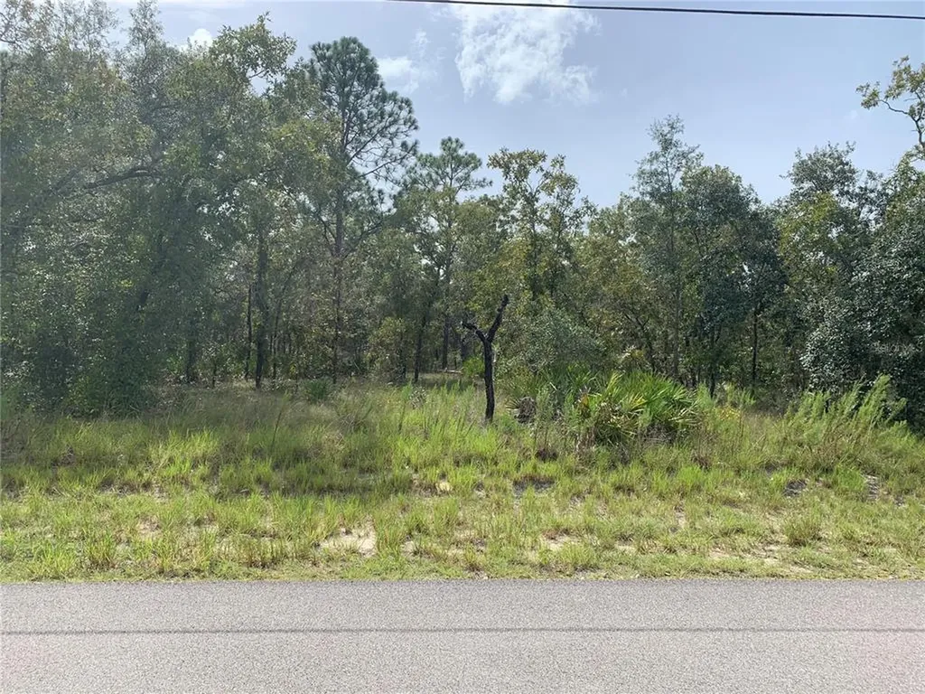 13101 Marbled Godwit Road Weeki Wachee FL 34614