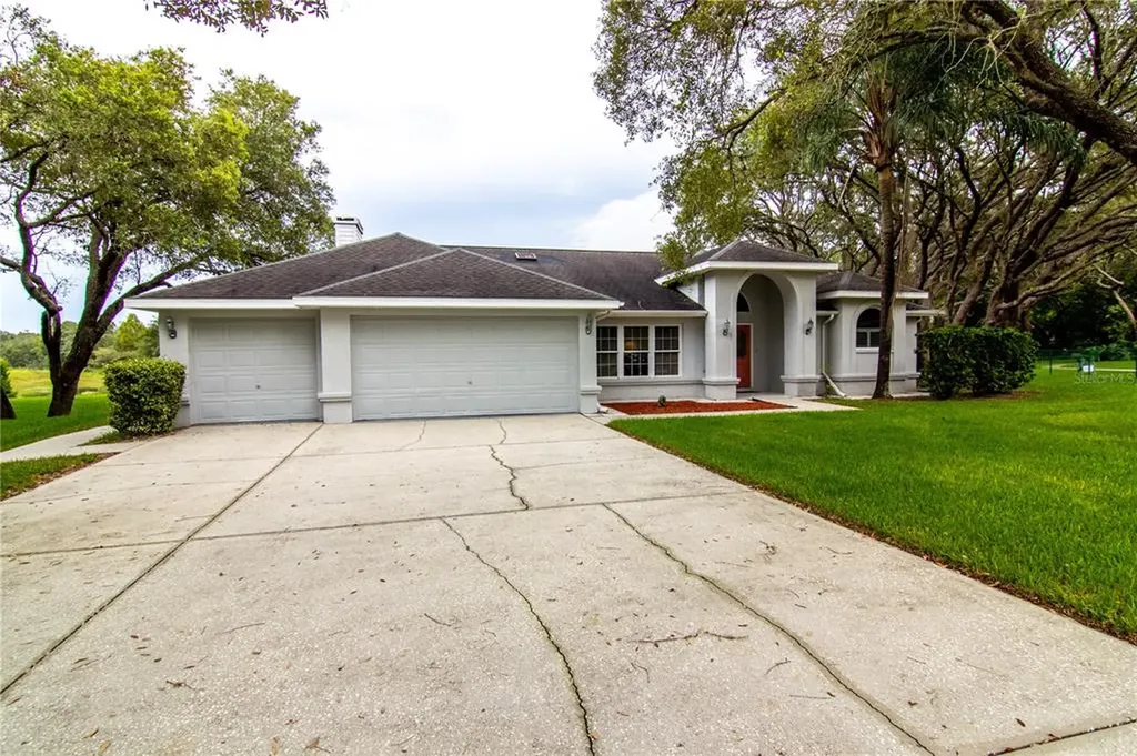 14019 Warm Springs Court Hudson FL 34667