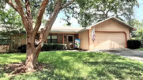 1309 Cove Place Tavares FL 32778