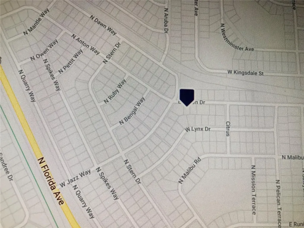 14 E Anton Drive Citrus Springs FL 34434