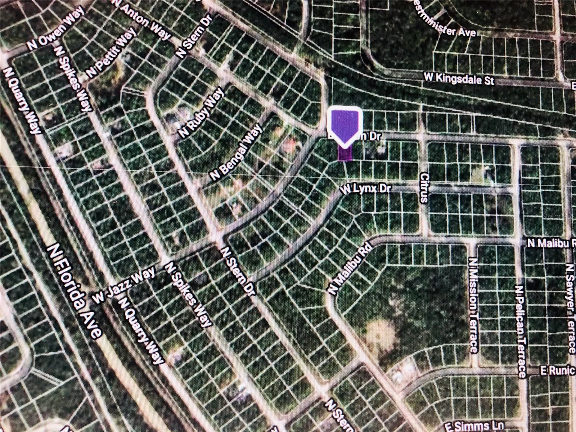 14 E Anton Drive Citrus Springs FL 34434