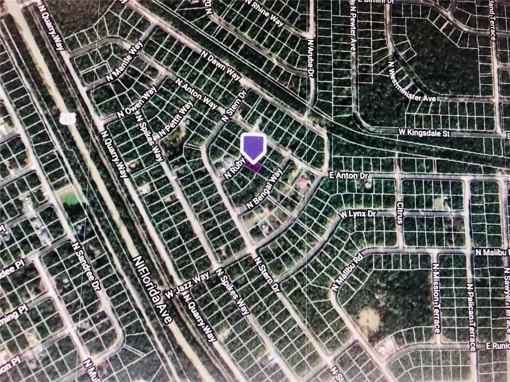 8991 N Ruby Way Citrus Springs FL 34434