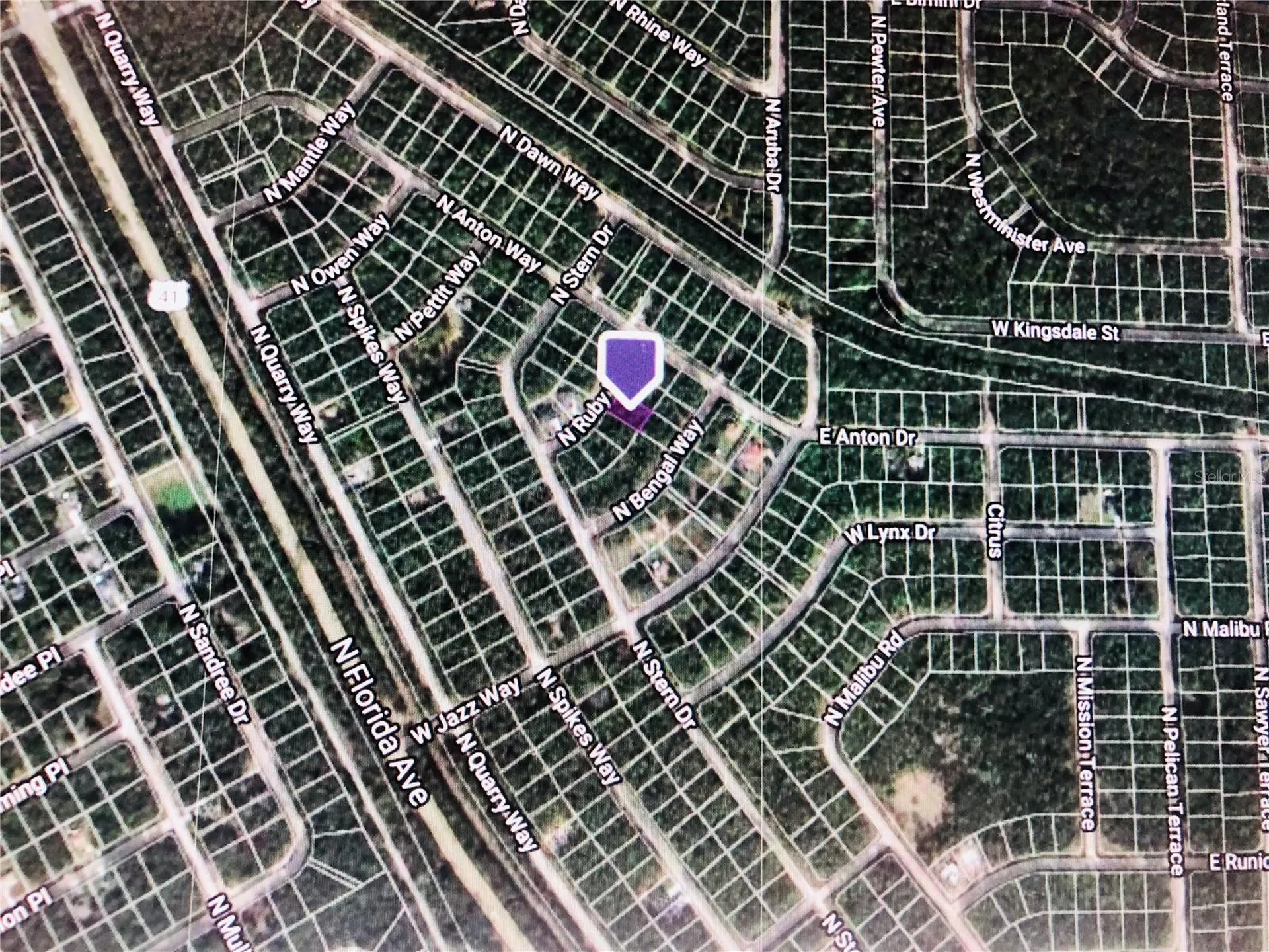 8991 N Ruby Way Citrus Springs FL 34434