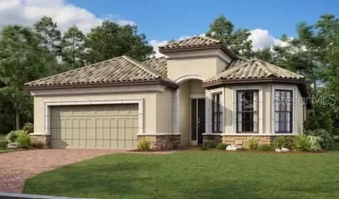 29434 Ginnetto Drive Wesley Chapel FL 33543