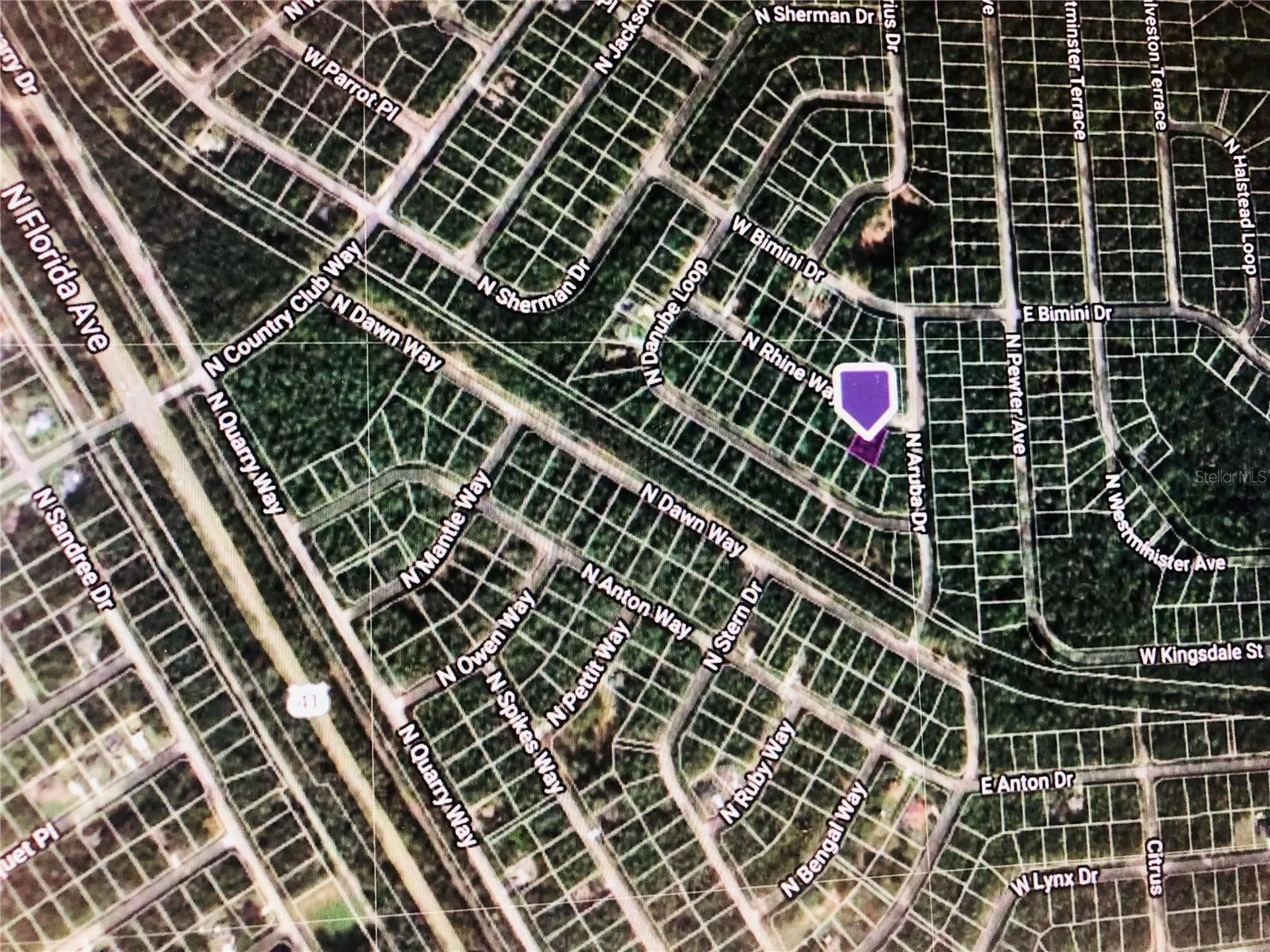 9208 N Rhine Way Citrus Springs FL 34434