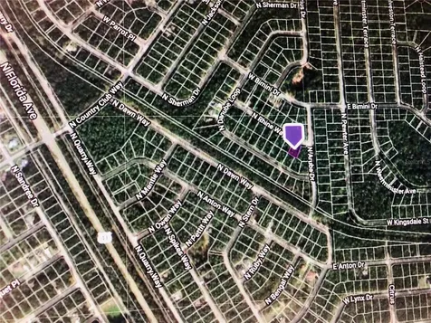 9208 N Rhine Way Citrus Springs FL 34434