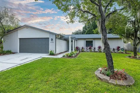 16702 Norwood Drive Tampa FL 33624