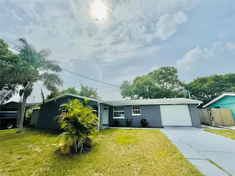 1241 Basswood Drive Holiday FL 34690