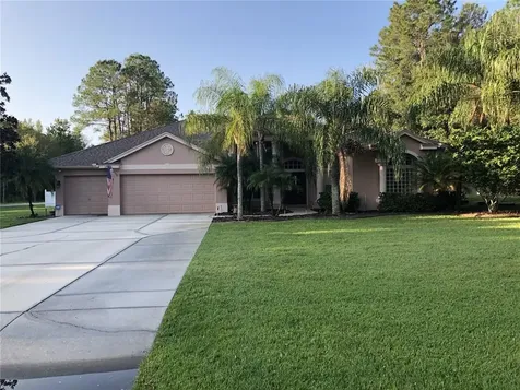 18030 Driftwood Lane Lutz FL 33558