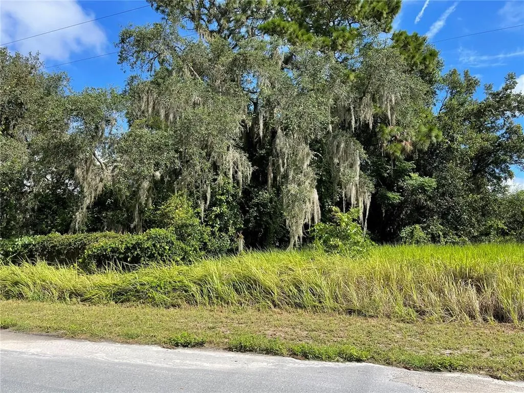 807 Carnegie Drive Inverness FL 34450