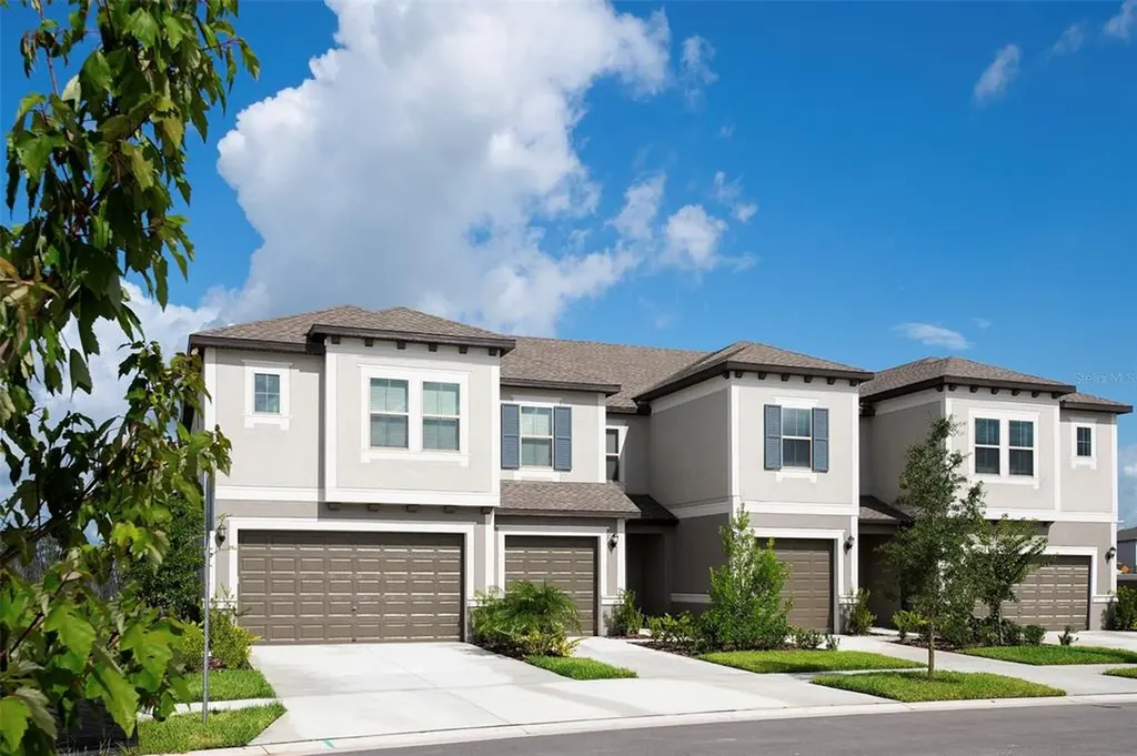 31577 Blue Passing Loop Wesley Chapel FL 33545