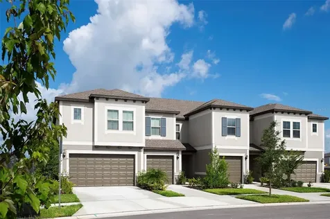 31577 Blue Passing Loop Wesley Chapel FL 33545