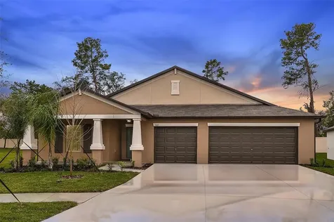 13513 Willow Bluestar Loop Riverview FL 33579