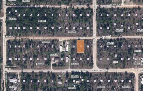203 Norway Street Interlachen FL 32148