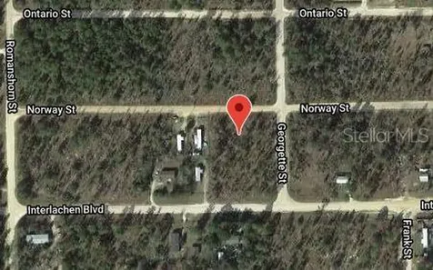 203 Norway Street Interlachen FL 32148