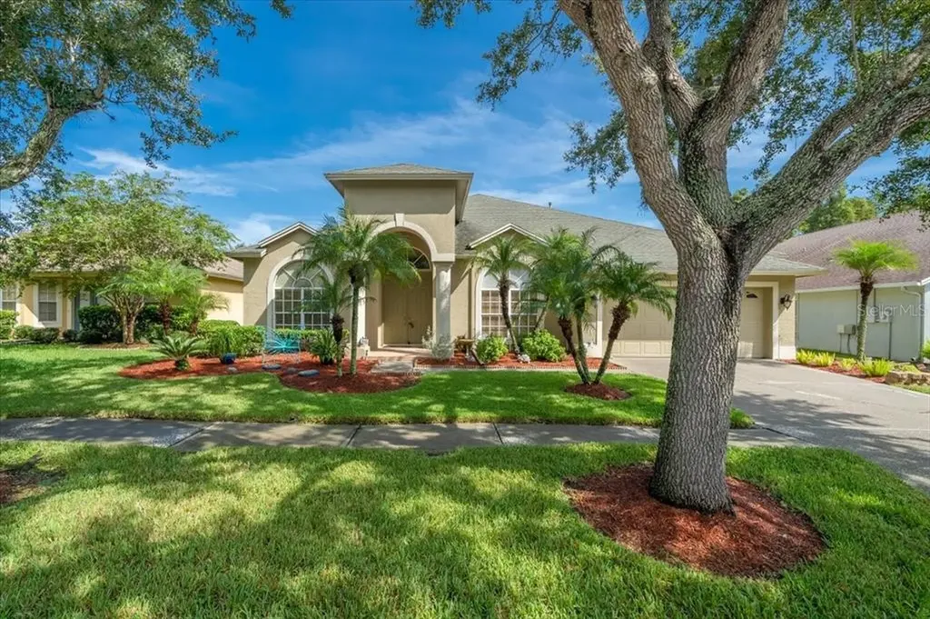 4821 Tea Rose Court Lutz FL 33558