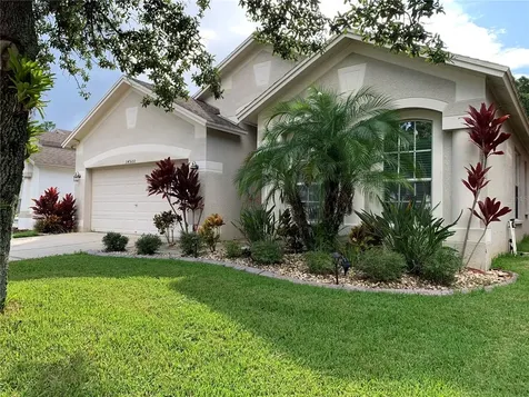 34500 Cliffcreek Court Wesley Chapel FL 33545