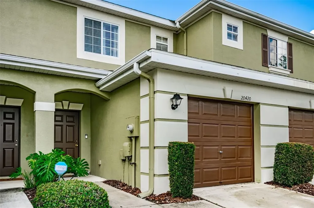 20420 Needletree Drive Tampa FL 33647