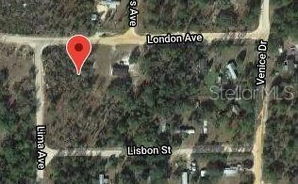 115 London Avenue Interlachen FL 32148