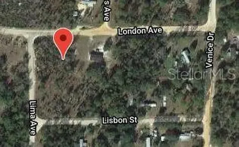 115 London Avenue Interlachen FL 32148