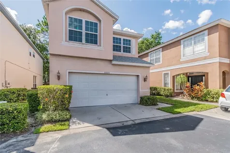 10605 Ashtead Wood Court Tampa FL 33626