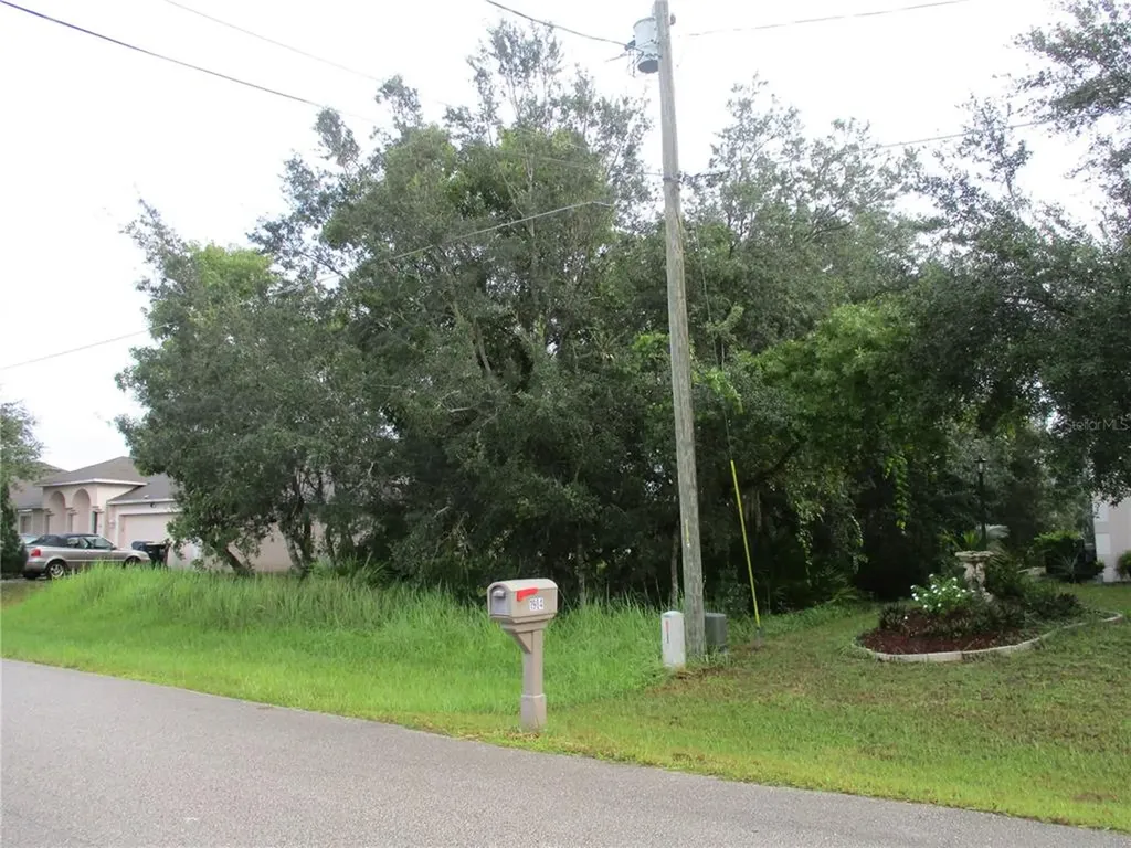 1905 Manatee Court Kissimmee FL 34759