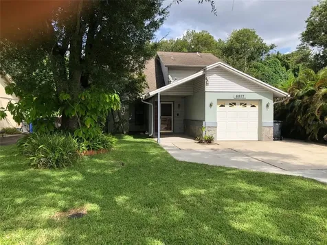 6817 N Hale Avenue Tampa FL 33614
