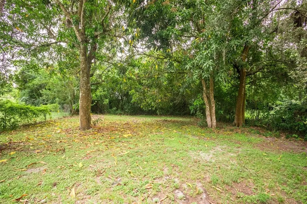 311 Dorsett Avenue Lake Wales FL 33853