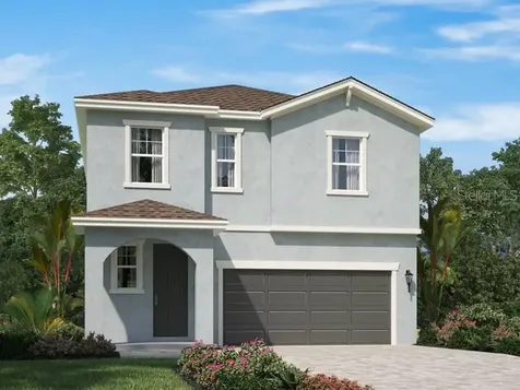 33868 Floating Heart Court Wesley Chapel FL 33545